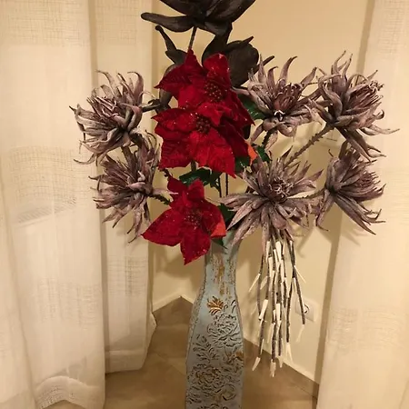 Seaview House Vakantiehuis *