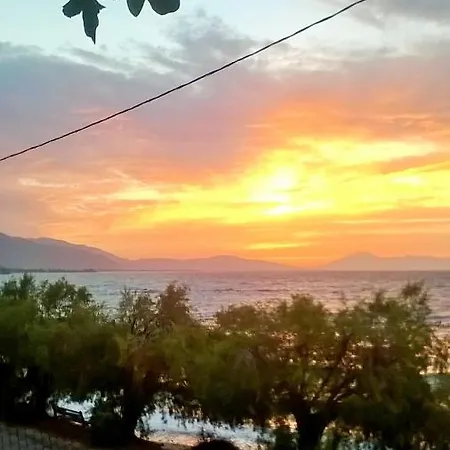 Vakantiehuis Seaview House