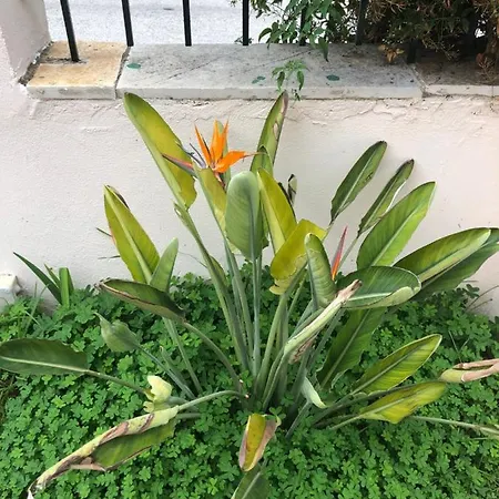 Seaview House Vakantiehuis *