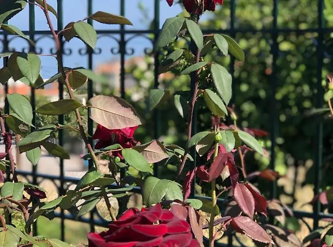 Nyaraló Seaview House *