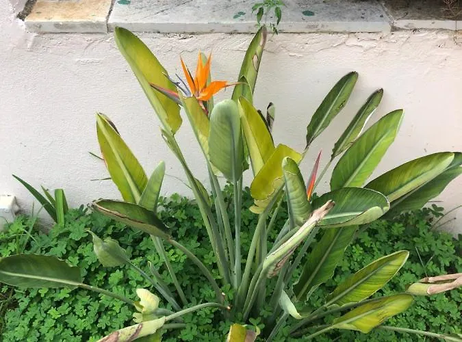 Seaview House Nyaraló *