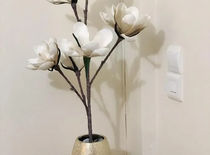 Seaview House Nyaraló